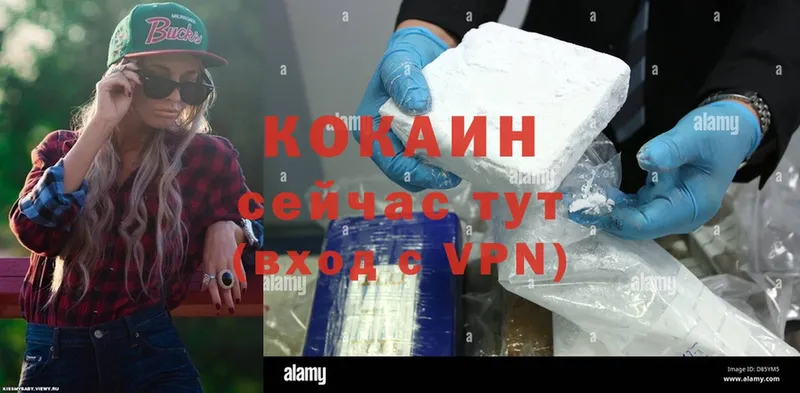 Cocaine Эквадор  дарнет шоп  Зеленокумск 