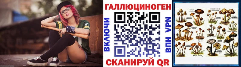 Псилоцибиновые грибы Psilocybe  Зеленокумск 