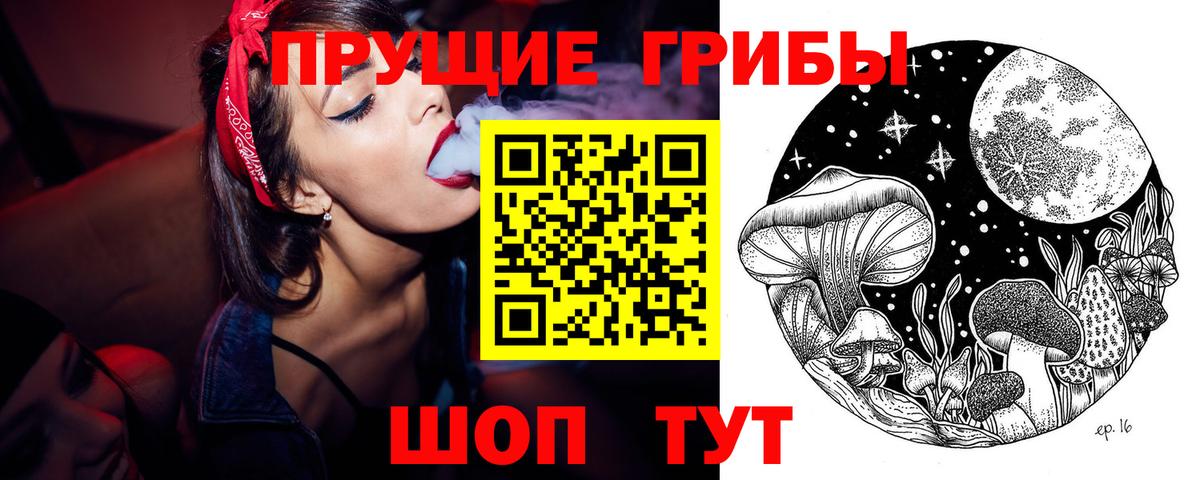 Псилоцибиновые грибы Psilocybe  где продают наркотики  Галлюциногенные грибы MAGIC MUSHROOMS  Зеленокумск  Вход с VPN 