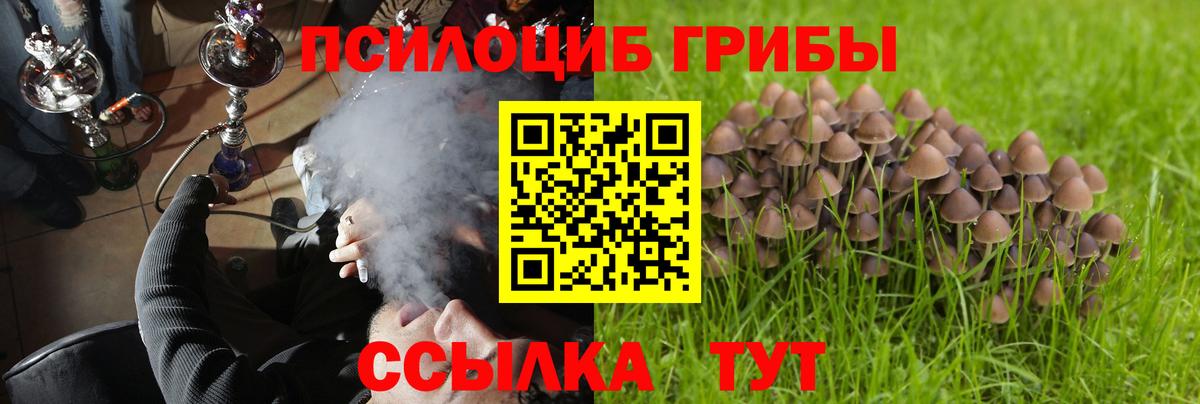 Псилоцибиновые грибы Psilocybine cubensis  Зеленокумск 